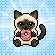 Placa Extra: Donutín